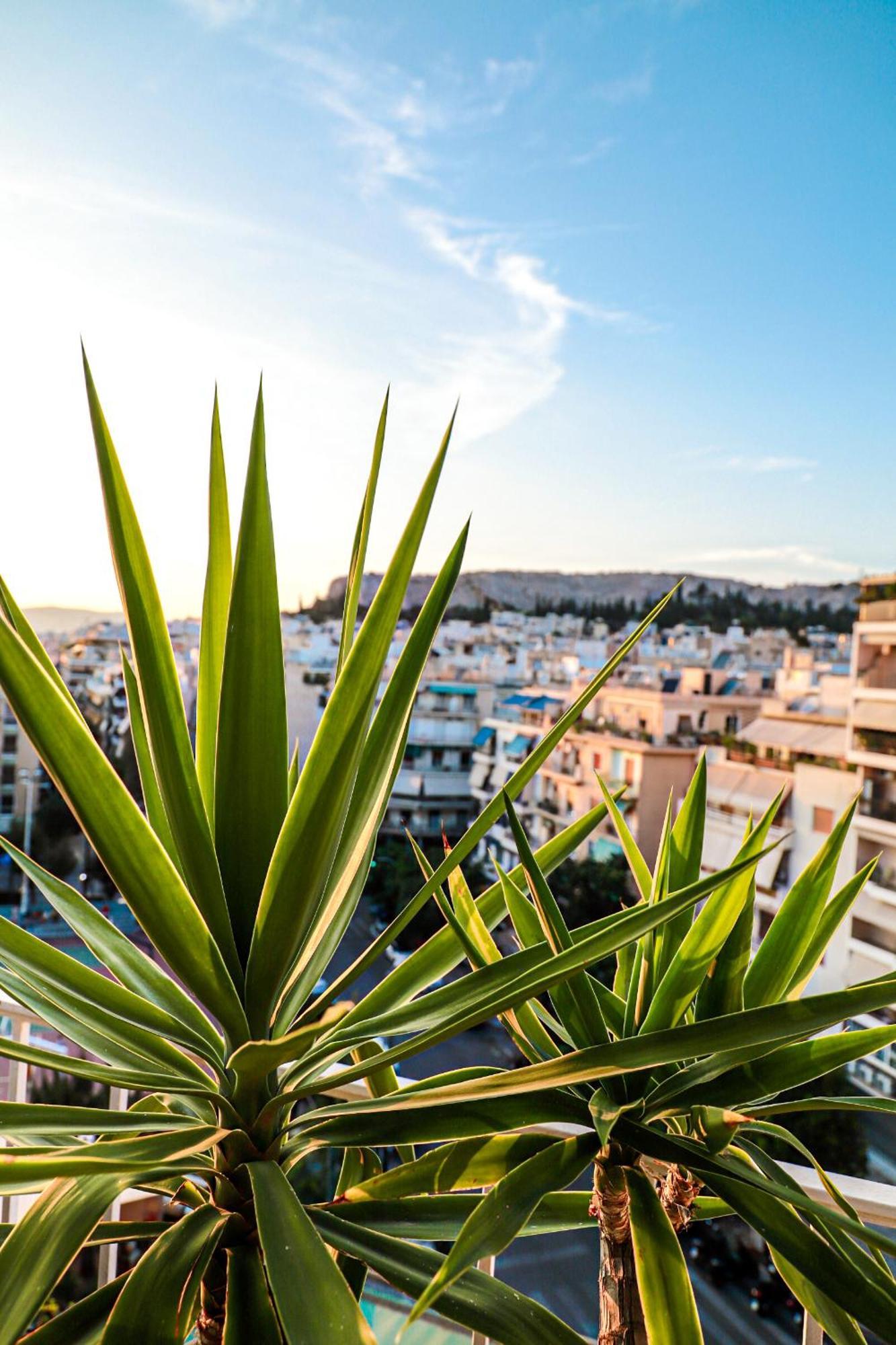 Renovated Apartment With Roof Garden Access, 15 M Walk To Acropolis Афины Экстерьер фото