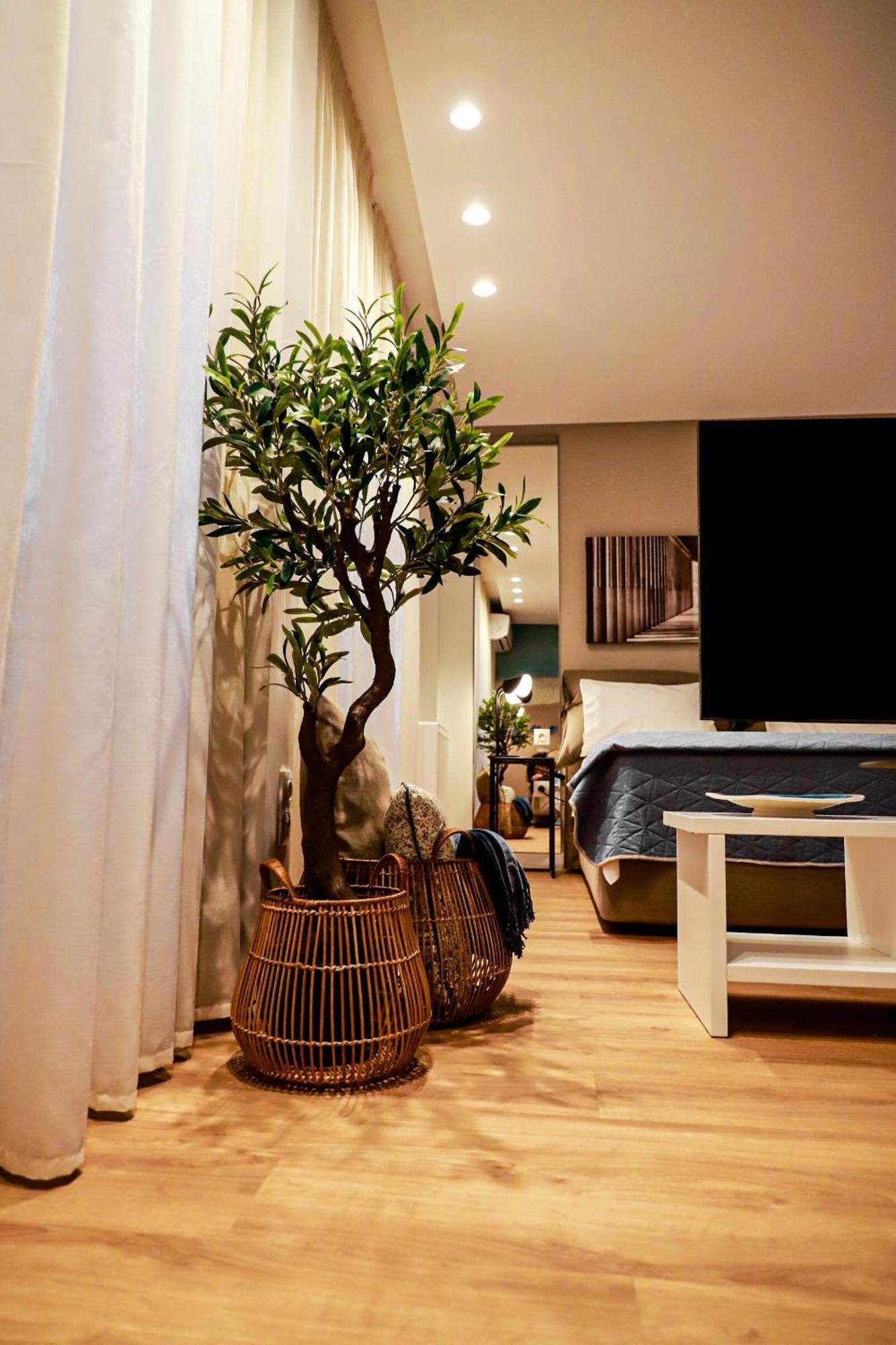 Renovated Apartment With Roof Garden Access, 15 M Walk To Acropolis Афины Экстерьер фото