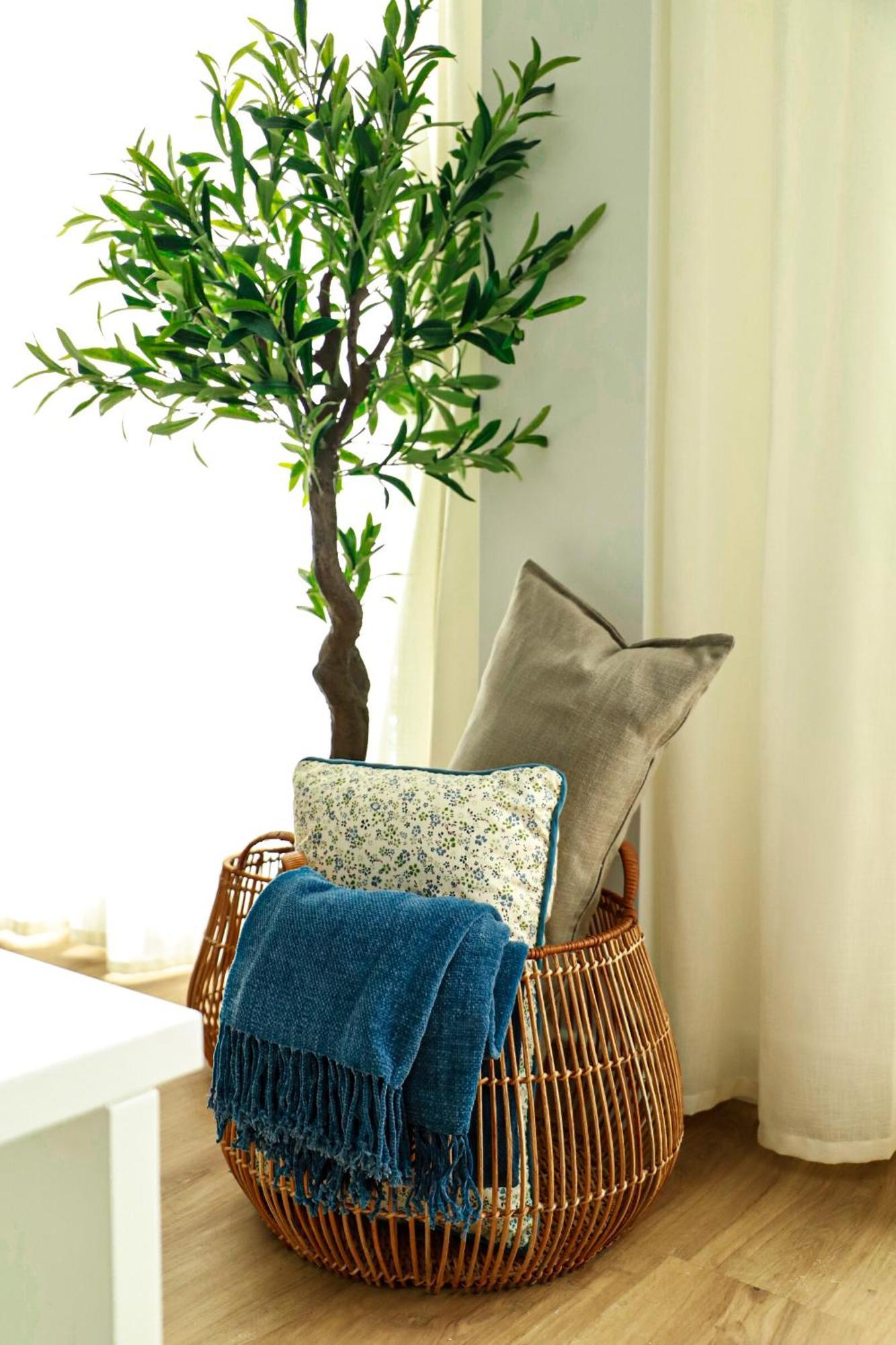 Renovated Apartment With Roof Garden Access, 15 M Walk To Acropolis Афины Экстерьер фото
